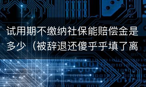 试用期不缴纳社保能赔偿金是多少（被辞退还傻乎乎填了离职证明）