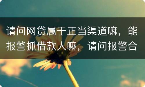 请问网贷属于正当渠道嘛，能报警抓借款人嘛，请问报警合理嘛