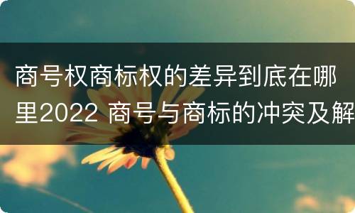 商号权商标权的差异到底在哪里2022 商号与商标的冲突及解决措施
