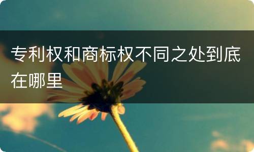 专利权和商标权不同之处到底在哪里