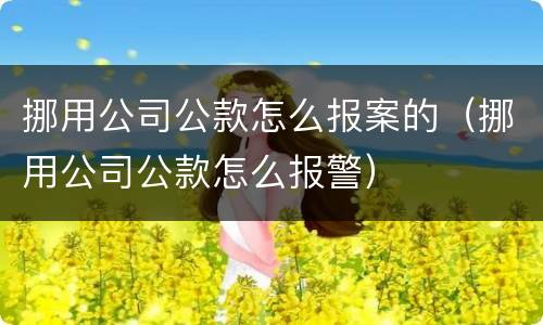挪用公司公款怎么报案的（挪用公司公款怎么报警）