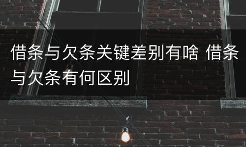借条与欠条关键差别有啥 借条与欠条有何区别