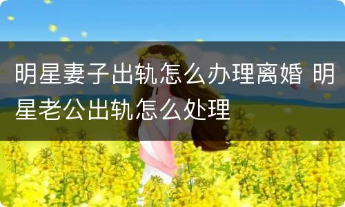 明星妻子出轨怎么办理离婚 明星老公出轨怎么处理