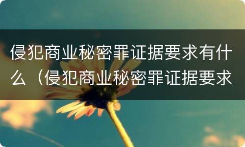 侵犯商业秘密罪证据要求有什么（侵犯商业秘密罪证据要求有什么法律规定）