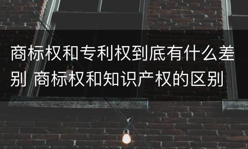 商标权和专利权到底有什么差别 商标权和知识产权的区别
