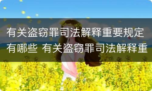 有关盗窃罪司法解释重要规定有哪些 有关盗窃罪司法解释重要规定有哪些内容