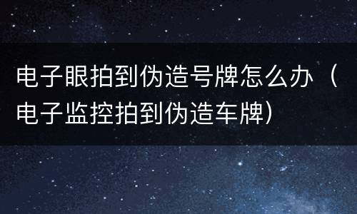 电子眼拍到伪造号牌怎么办（电子监控拍到伪造车牌）