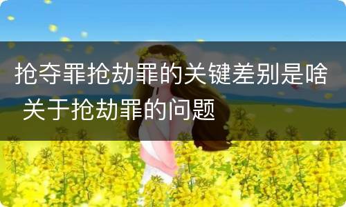 抢夺罪抢劫罪的关键差别是啥 关于抢劫罪的问题