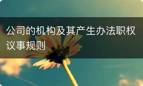 公司的机构及其产生办法职权议事规则