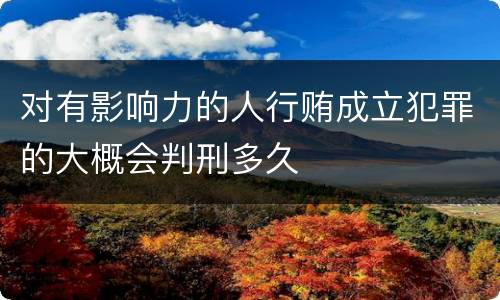 对有影响力的人行贿成立犯罪的大概会判刑多久