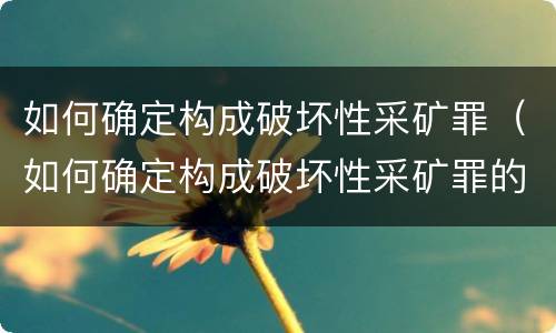 如何确定构成破坏性采矿罪（如何确定构成破坏性采矿罪的主体）