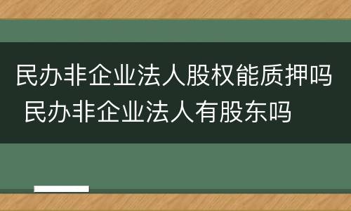 民办非企业法人股权能质押吗 民办非企业法人有股东吗