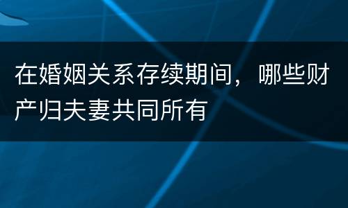在婚姻关系存续期间，哪些财产归夫妻共同所有