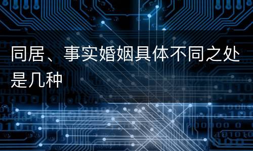 同居、事实婚姻具体不同之处是几种
