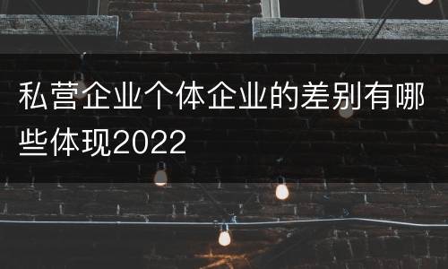 私营企业个体企业的差别有哪些体现2022