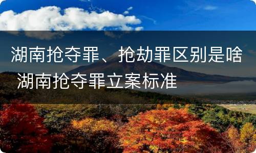 湖南抢夺罪、抢劫罪区别是啥 湖南抢夺罪立案标准