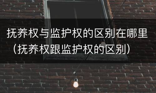 抚养权与监护权的区别在哪里（抚养权跟监护权的区别）