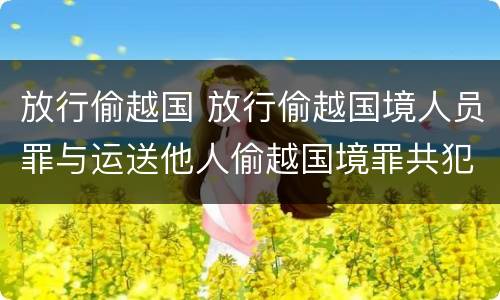 放行偷越国 放行偷越国境人员罪与运送他人偷越国境罪共犯