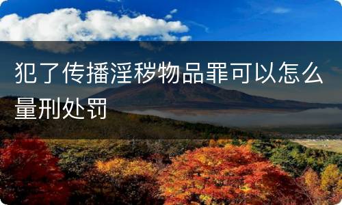 犯了传播淫秽物品罪可以怎么量刑处罚
