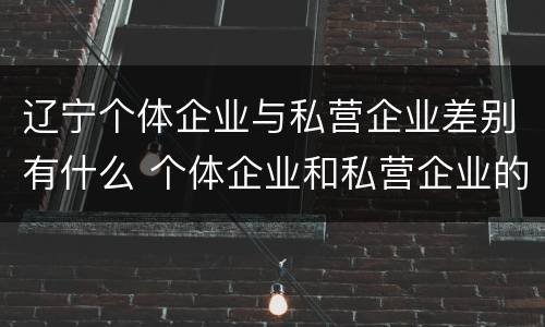 辽宁个体企业与私营企业差别有什么 个体企业和私营企业的区别