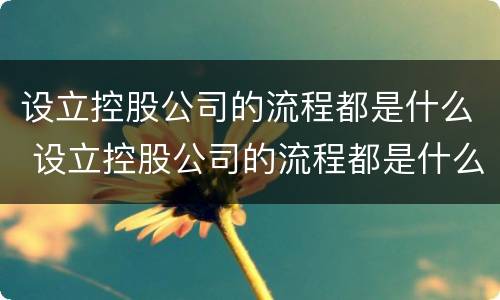 设立控股公司的流程都是什么 设立控股公司的流程都是什么样的