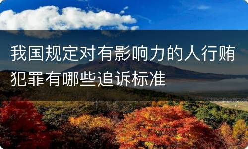 我国规定对有影响力的人行贿犯罪有哪些追诉标准