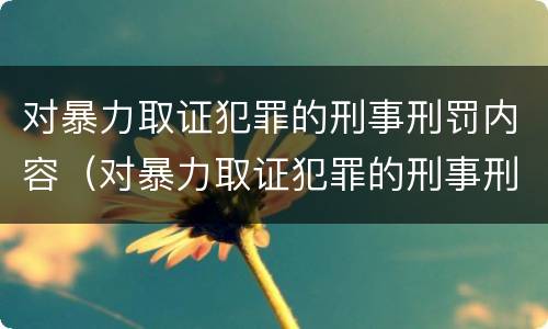 对暴力取证犯罪的刑事刑罚内容（对暴力取证犯罪的刑事刑罚内容是什么）