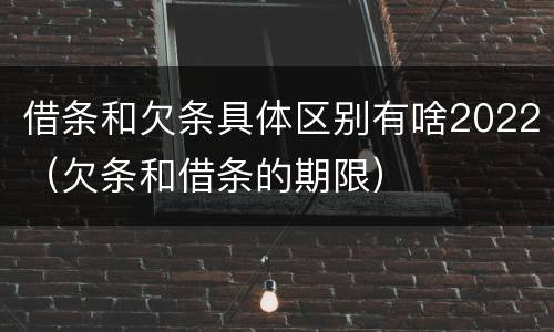 借条和欠条具体区别有啥2022（欠条和借条的期限）