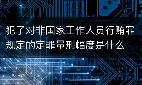 犯了对非国家工作人员行贿罪规定的定罪量刑幅度是什么