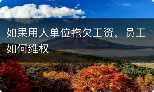 如果用人单位拖欠工资，员工如何维权