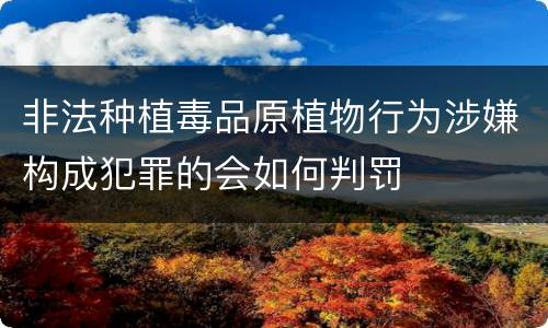 非法种植毒品原植物行为涉嫌构成犯罪的会如何判罚