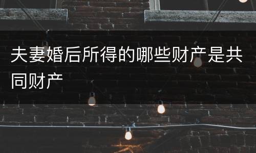 夫妻婚后所得的哪些财产是共同财产