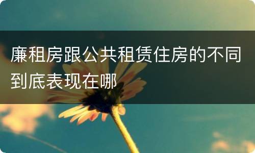 廉租房跟公共租赁住房的不同到底表现在哪