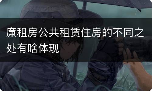 廉租房公共租赁住房的不同之处有啥体现