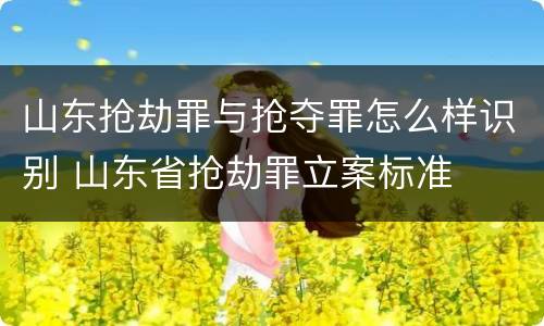 山东抢劫罪与抢夺罪怎么样识别 山东省抢劫罪立案标准