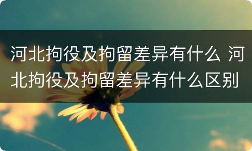 河北拘役及拘留差异有什么 河北拘役及拘留差异有什么区别