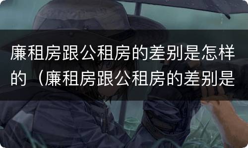 廉租房跟公租房的差别是怎样的（廉租房跟公租房的差别是怎样的呢）