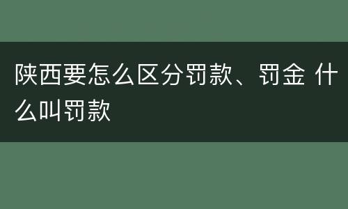 陕西要怎么区分罚款、罚金 什么叫罚款