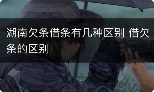 湖南欠条借条有几种区别 借欠条的区别