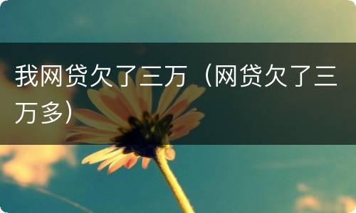 我网贷欠了三万（网贷欠了三万多）
