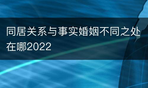 同居关系与事实婚姻不同之处在哪2022