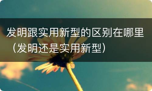 发明跟实用新型的区别在哪里（发明还是实用新型）