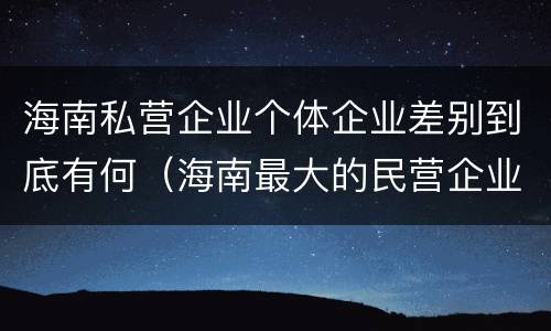 海南私营企业个体企业差别到底有何（海南最大的民营企业）