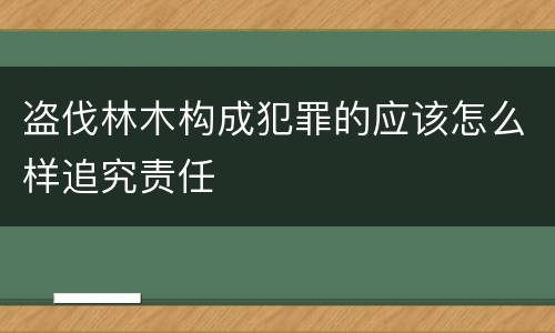 盗伐林木构成犯罪的应该怎么样追究责任