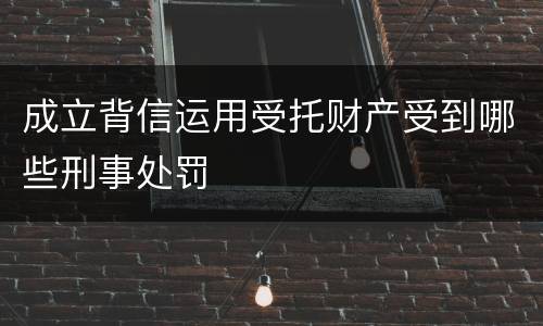 成立背信运用受托财产受到哪些刑事处罚