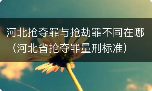 河北抢夺罪与抢劫罪不同在哪（河北省抢夺罪量刑标准）