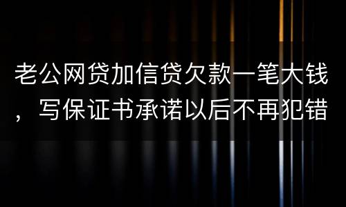 老公网贷加信贷欠款一笔大钱,写保证书承诺以后不再犯错,请问怎样写受法律保护