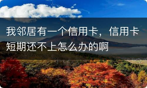 我邻居有一个信用卡，信用卡短期还不上怎么办的啊