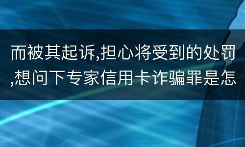 而被其起诉,担心将受到的处罚,想问下专家信用卡诈骗罪是怎样判罚的