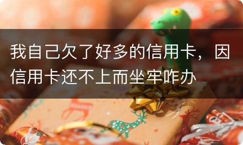 我自己欠了好多的信用卡，因信用卡还不上而坐牢咋办